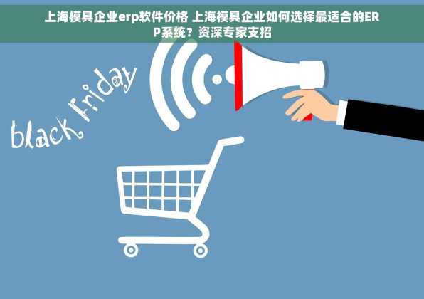 上海模具企业erp软件价格 上海模具企业如何选择最适合的ERP系统？资深专家支招