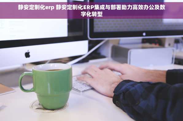 静安定制化erp 静安定制化ERP集成与部署助力高效办公及数字化转型