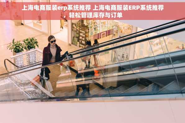 上海电商服装erp系统推荐 上海电商服装ERP系统推荐，轻松管理库存与订单