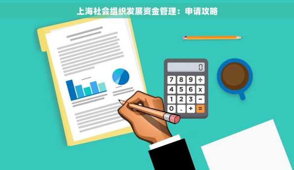 上海社会组织发展资金管理：申请攻略