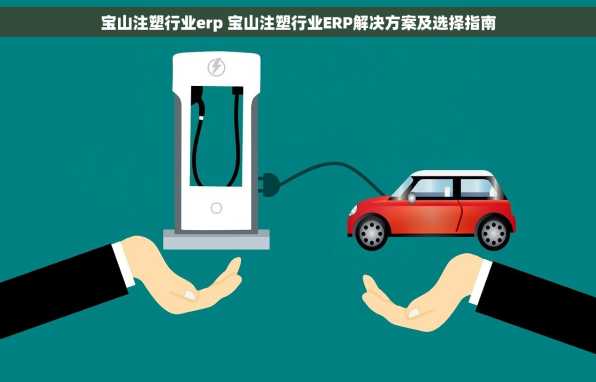 宝山注塑行业erp 宝山注塑行业ERP解决方案及选择指南