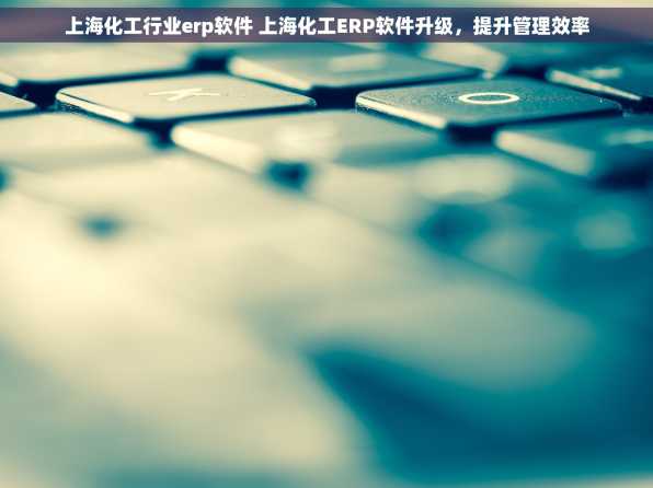 上海化工行业erp软件 上海化工ERP软件升级，提升管理效率