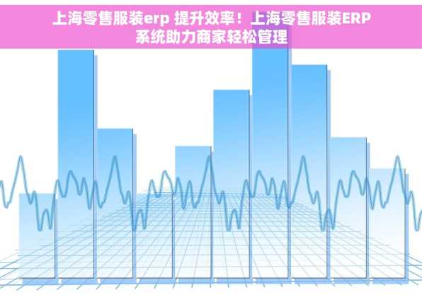 上海零售服装erp 提升效率！上海零售服装ERP系统助力商家轻松管理