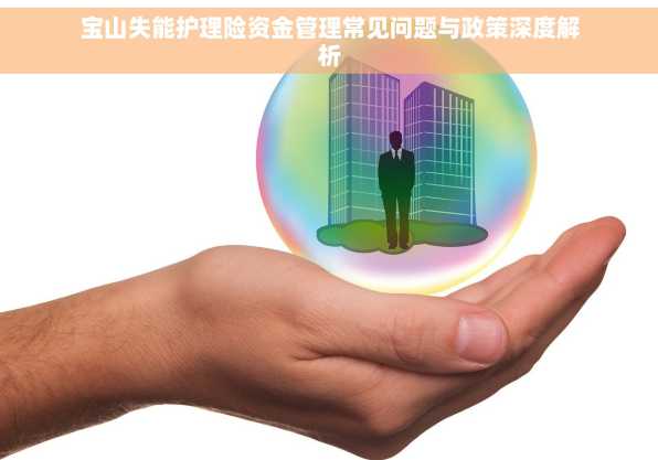 宝山失能护理险资金管理常见问题与政策深度解析