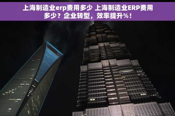 上海制造业erp费用多少 上海制造业ERP费用多少？企业转型，效率提升%！