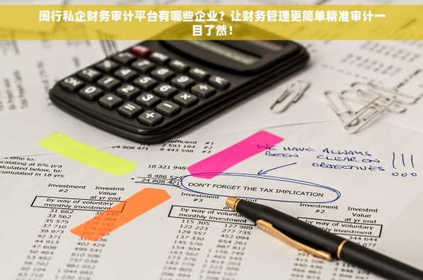 闽行私企财务审计平台有哪些企业？让财务管理更简单精准审计一目了然！