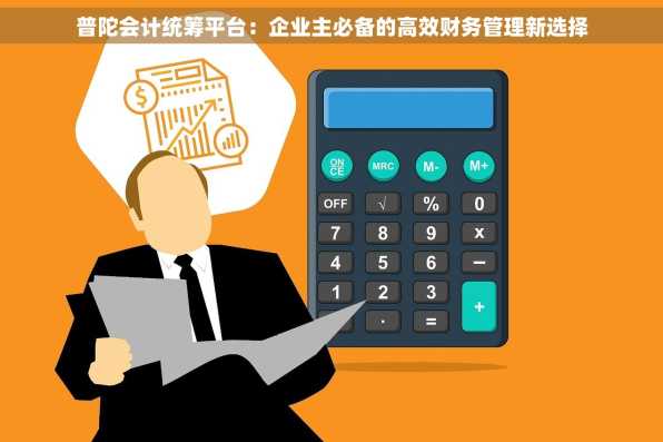 普陀会计统筹平台：企业主必备的高效财务管理新选择