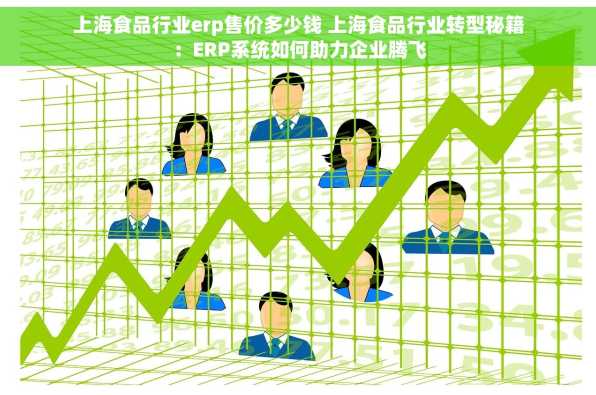 上海食品行业erp售价多少钱 上海食品行业转型秘籍：ERP系统如何助力企业腾飞