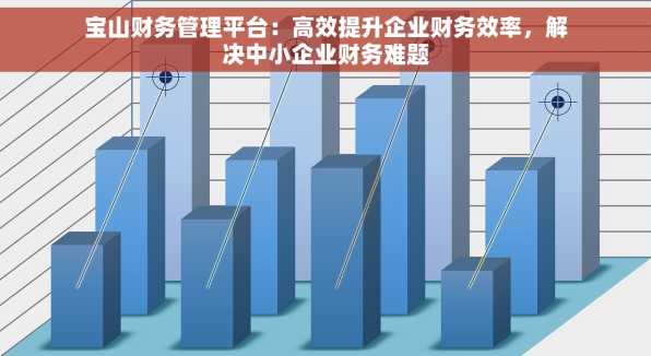宝山财务管理平台：高效提升企业财务效率，解决中小企业财务难题