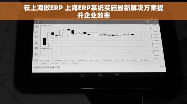 在上海做ERP 上海ERP系统实施最新解决方案提升企业效率