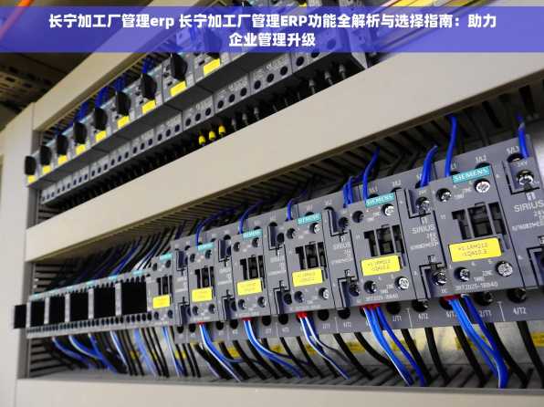 长宁加工厂管理erp 长宁加工厂管理ERP功能全解析与选择指南：助力企业管理升级