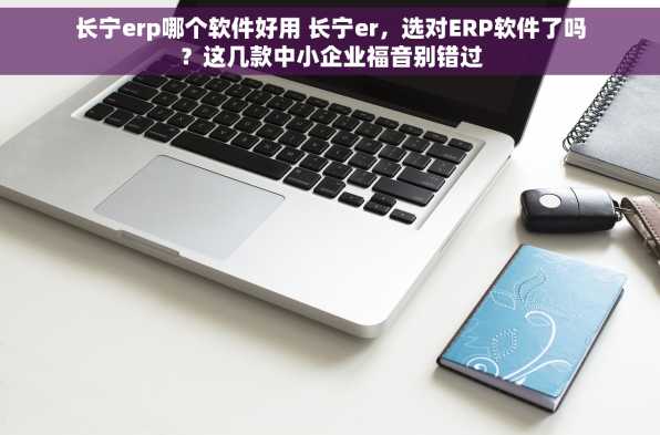长宁erp哪个软件好用 长宁er，选对ERP软件了吗？这几款中小企业福音别错过