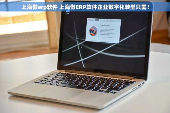 上海做erp软件 上海做ERP软件企业数字化转型只需！