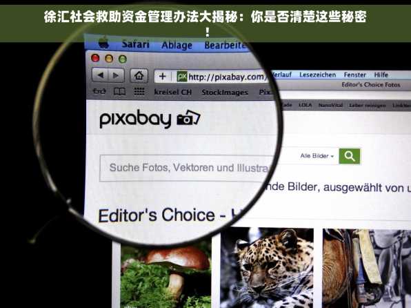徐汇社会救助资金管理办法大揭秘：你是否清楚这些秘密！