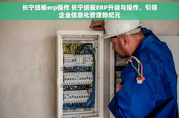 长宁纸板erp操作 长宁纸板ERP升级与操作，引领企业信息化管理新纪元