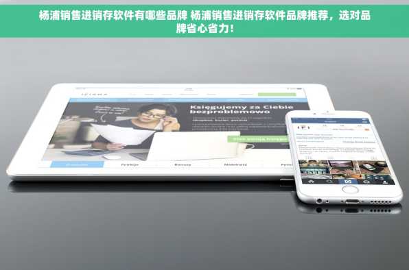 杨浦销售进销存软件有哪些品牌 杨浦销售进销存软件品牌推荐，选对品牌省心省力！