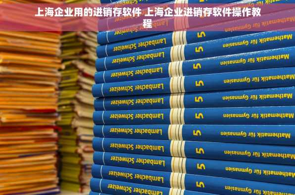 上海企业用的进销存软件 上海企业进销存软件操作教程