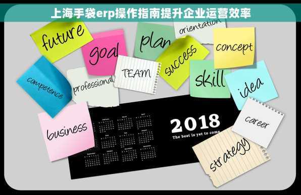 上海手袋erp操作指南提升企业运营效率