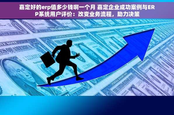嘉定好的erp值多少钱啊一个月 嘉定企业成功案例与ERP系统用户评价：改变业务流程，助力决策