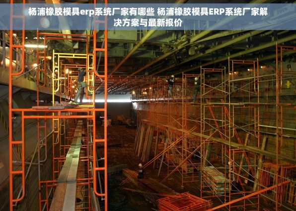 杨浦橡胶模具erp系统厂家有哪些 杨浦橡胶模具ERP系统厂家解决方案与最新报价