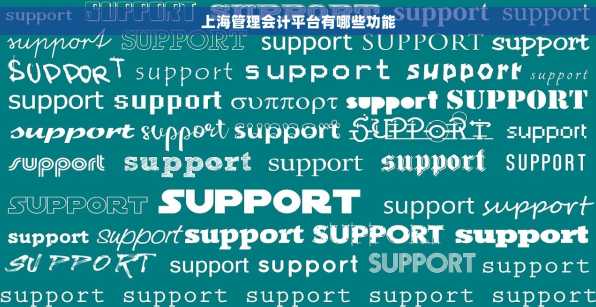 上海管理会计平台有哪些功能