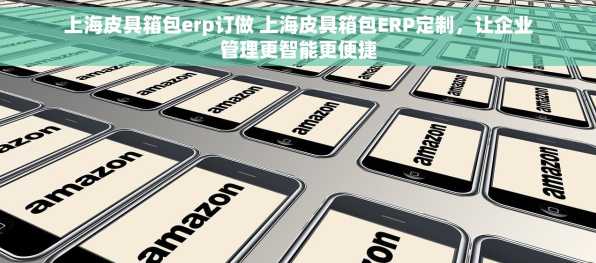 上海皮具箱包erp订做 上海皮具箱包ERP定制，让企业管理更智能更便捷