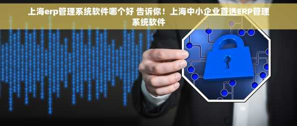 上海erp管理系统软件哪个好 告诉你！上海中小企业首选ERP管理系统软件