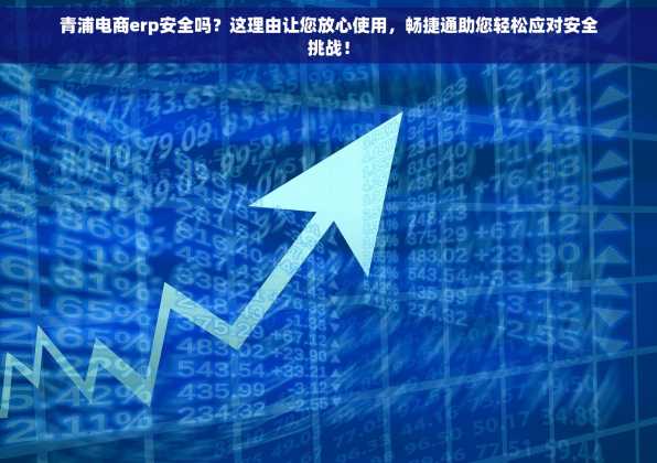青浦电商erp安全吗？这理由让您放心使用，畅捷通助您轻松应对安全挑战！