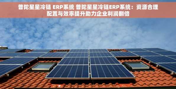 普陀星星冷链 ERP系统 普陀星星冷链ERP系统：资源合理配置与效率提升助力企业利润翻倍