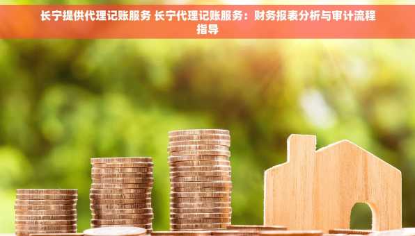 长宁提供代理记账服务 长宁代理记账服务：财务报表分析与审计流程指导