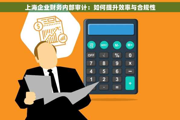 上海企业财务内部审计：如何提升效率与合规性