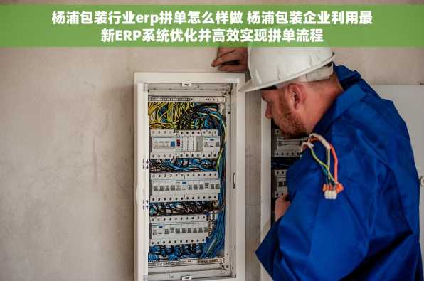 杨浦包装行业erp拼单怎么样做 杨浦包装企业利用最新ERP系统优化并高效实现拼单流程