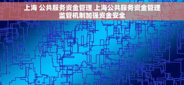 上海 公共服务资金管理 上海公共服务资金管理监管机制加强资金安全