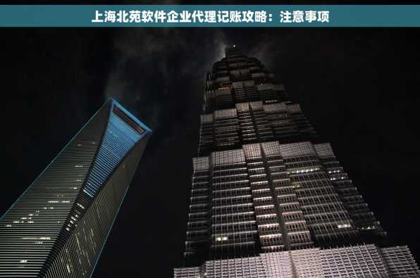 上海北苑软件企业代理记账攻略：注意事项
