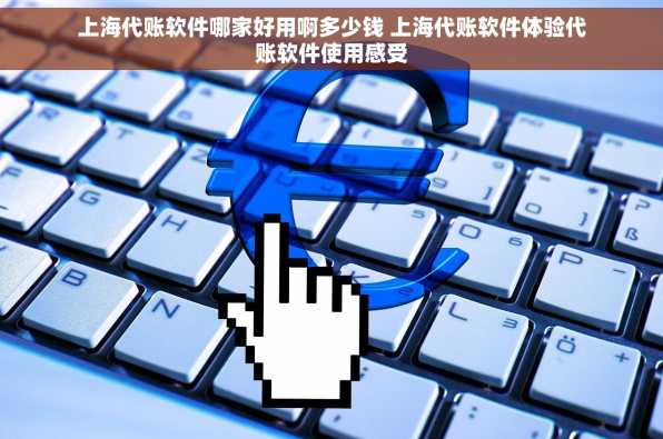 上海代账软件哪家好用啊多少钱 上海代账软件体验代账软件使用感受