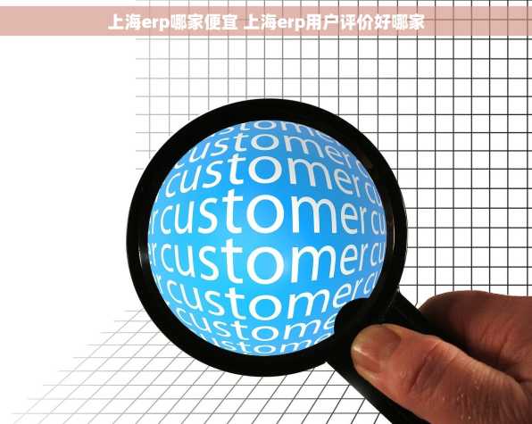 上海erp哪家便宜 上海erp用户评价好哪家