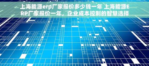 上海能源erp厂家报价多少钱一年 上海能源ERP厂家报价一年，企业成本控制的智慧选择