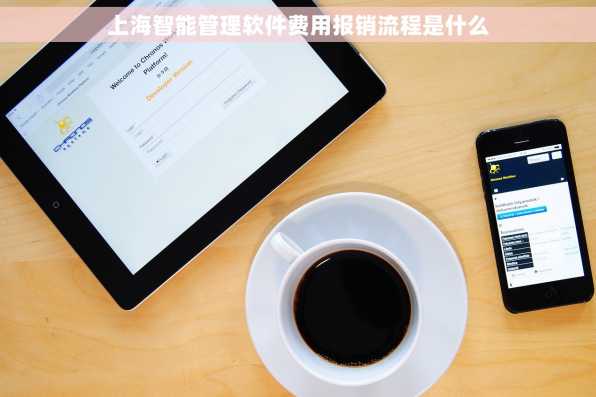 上海智能管理软件费用报销流程是什么