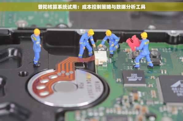 普陀核算系统试用：成本控制策略与数据分析工具
