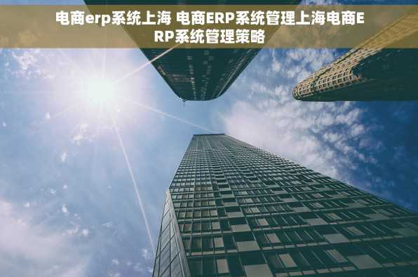 电商erp系统上海 电商ERP系统管理上海电商ERP系统管理策略