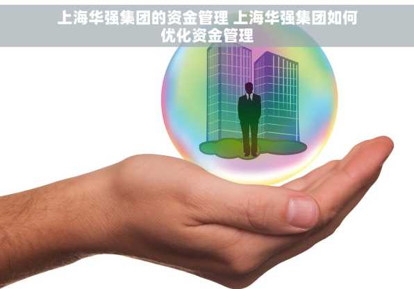 上海华强集团的资金管理 上海华强集团如何优化资金管理