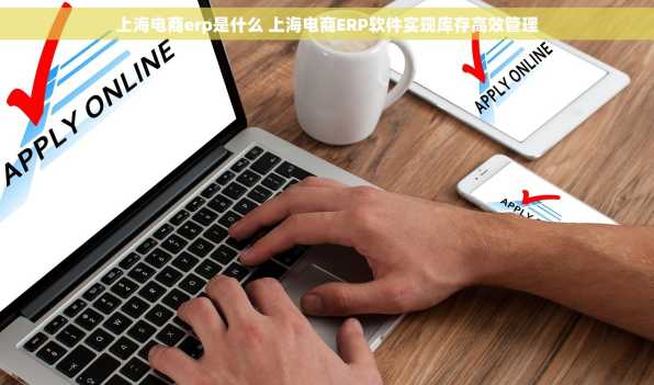 上海电商erp是什么 上海电商ERP软件实现库存高效管理