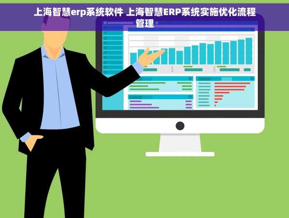 上海智慧erp系统软件 上海智慧ERP系统实施优化流程管理