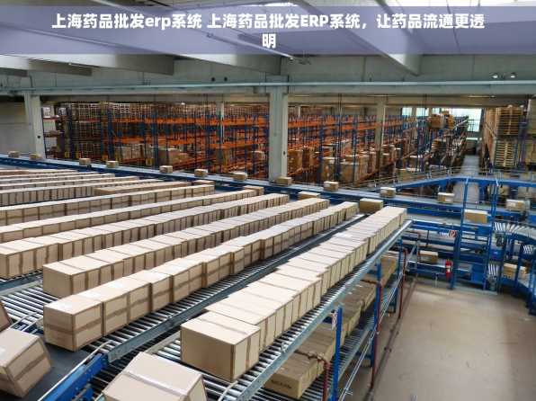 上海药品批发erp系统 上海药品批发ERP系统，让药品流通更透明