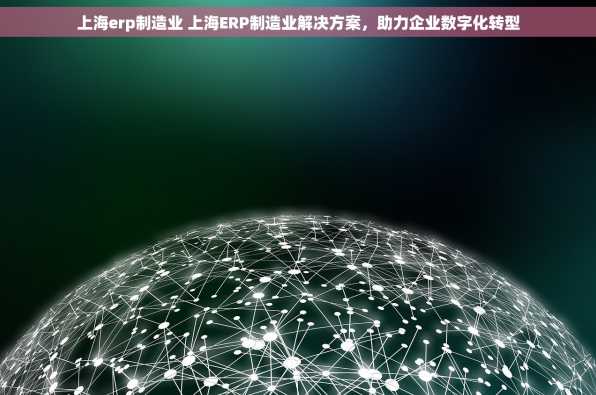 上海erp制造业 上海ERP制造业解决方案，助力企业数字化转型
