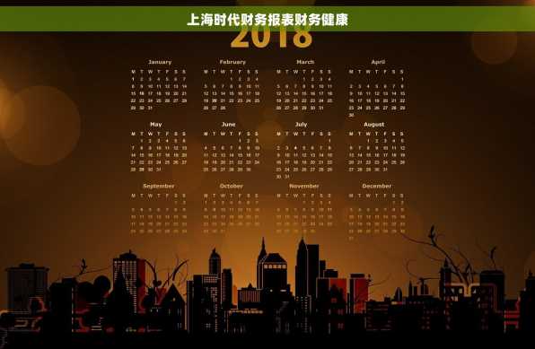 上海时代财务报表财务健康