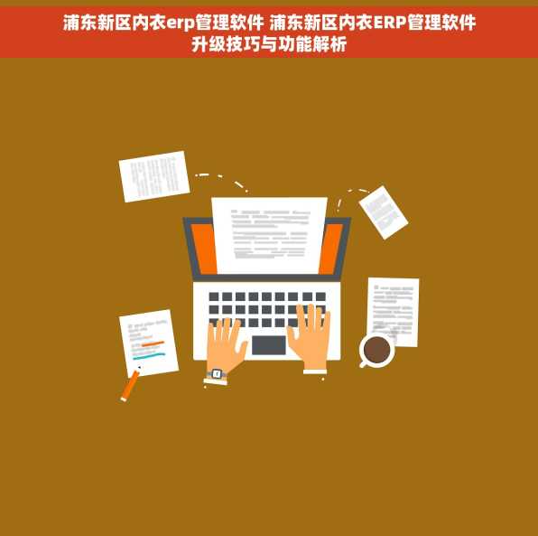 浦东新区内衣erp管理软件 浦东新区内衣ERP管理软件升级技巧与功能解析