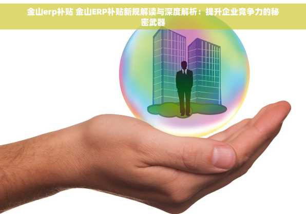 金山erp补贴 金山ERP补贴新规解读与深度解析：提升企业竞争力的秘密武器