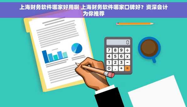 上海财务软件哪家好用啊 上海财务软件哪家口碑好？资深会计为你推荐