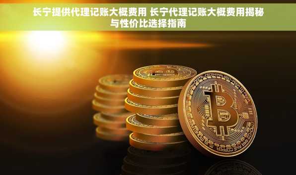 长宁提供代理记账大概费用 长宁代理记账大概费用揭秘与性价比选择指南